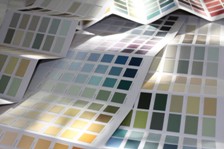 Colour Consultation